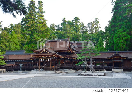 多賀大社（志賀県） 127371461