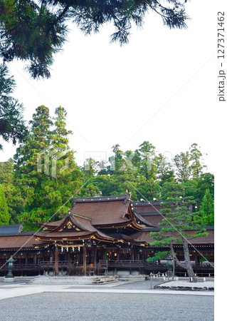 多賀大社（志賀県） 127371462