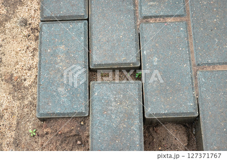 Newly laid gray paving stones creating a durable walkway in a residential area during late afternoon Newly laid gray paving stones creating a durable walkway in a residential area during late afternoon 127371767
