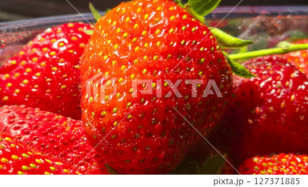 Ripe strawberries picked from the garden. In disposable containers. sale. Ripe strawberries picked from the garden. In disposable containers. sale. 127371885