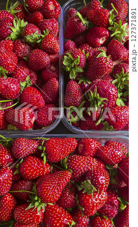Ripe strawberries picked from the garden. In disposable containers. sale. Ripe strawberries picked from the garden. In disposable containers. sale. 127371891