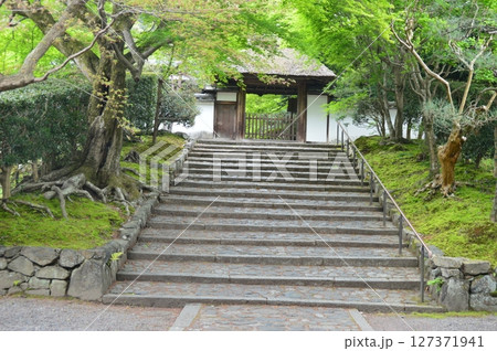 安楽寺の山門（京都市左京区鹿ケ谷御所ノ段町21） 127371941