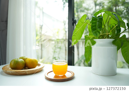 Orange juice and potted plant on white table 127372150