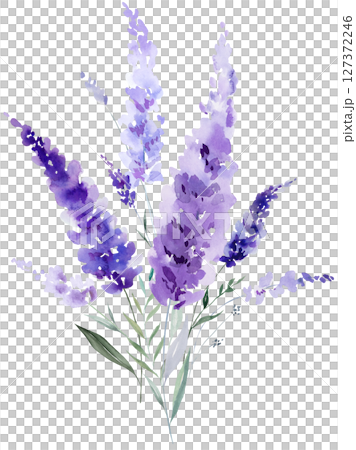 Bouquet made of watercolor lavender flowers. Purple wildflowers wedding isolated illustration 127372246
