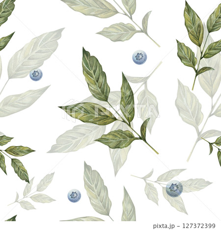 Seamless watercolor pattern featuring a sprig with green leaves and blueberries. Botanical pattern on white background. Seamless watercolor pattern featuring a sprig with green leaves and blueberries. Botanical pattern on white background. 127372399