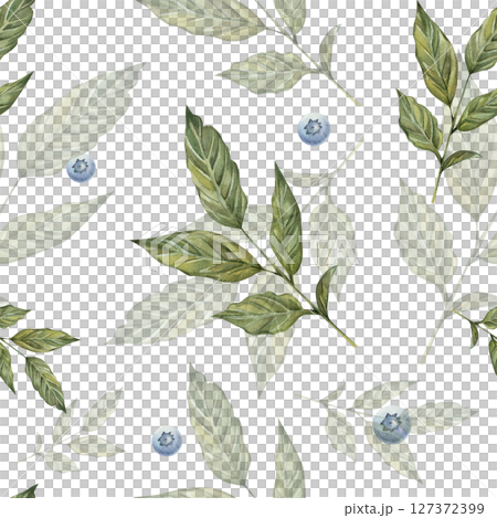 Seamless watercolor pattern featuring a sprig with green leaves and blueberries. Botanical pattern on white background. Seamless watercolor pattern featuring a sprig with green leaves and blueberries. Botanical pattern on white background. 127372399