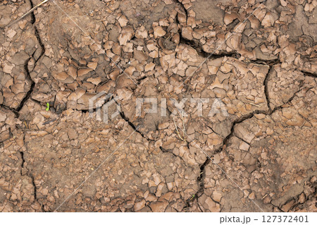 Soil on the ground as texture and background. Soil on the ground as texture and background. 127372401