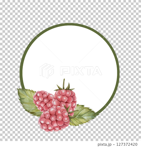 Light green round frame with raspberry leaves and berries in a realistic style. Watercolor illustration isolated on white background. For decoration of posters, cards, invitations 127372420