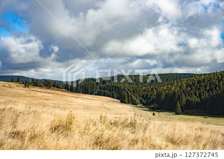 Rolling hills and vast meadows characterize the Ore Mountains, showcasing vibrant green forests and dramatic clouds. This tranquil landscape offers a serene escape into nature's beauty. Rolling hills and vast meadows characterize the Ore Mountains, showcasing vibrant green forests and dramatic clouds. This tranquil landscape offers a serene escape into nature's beauty. 127372745