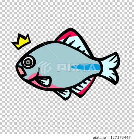 かわいいビックリするヤリタナゴのイラスト かわいいビックリするヤリタナゴのイラスト 127373447