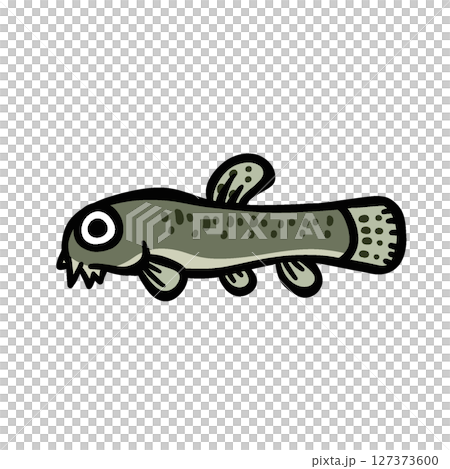 かわいいドジョウのイラスト かわいいドジョウのイラスト 127373600