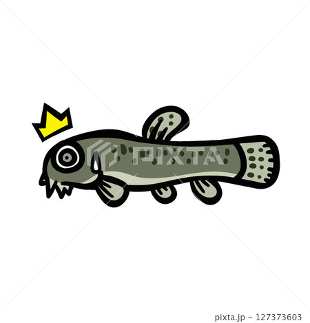 かわいいビックリするドジョウのイラスト かわいいビックリするドジョウのイラスト 127373603