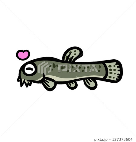 かわいいよろこぶドジョウのイラスト 127373604