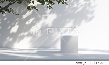 white cube with tree and leaves shadow on wall background 127373852