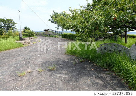 杵築市 橋詰公園 杵築市 橋詰公園 127373855