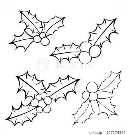 Christmas Holly Berries Plant black and white composition isolated. Vector graphic line ink illustration. Mistletoe With Small Plant Behind For Decoration. For logo, web, package, sticker. 127374365