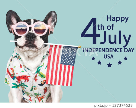 Happy Independence Day. American Flag and cute puppy Happy Independence Day. American Flag and cute puppy 127374525