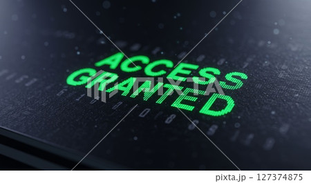 Digital interface displaying access granted...のイラスト素材 [127374875] - PIXTA
