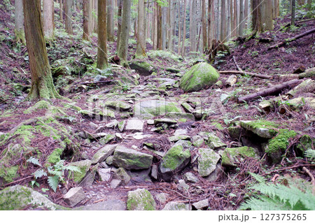 栃木県 名草巨石群の山道 栃木県 名草巨石群の山道 127375265