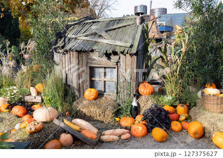 Old wooden house with broken glass in the window. Halloween concept Old wooden house with broken glass in the window. Halloween concept 127375627