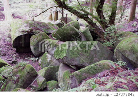 栃木県　名草巨石群 127375845