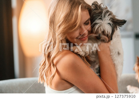 Embracing the animal. Beautiful young woman is with little dog indoors 127375910