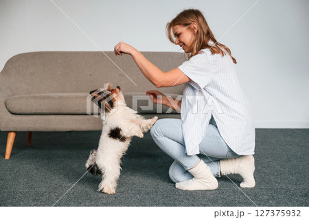 Beautiful young woman is with little dog indoors 127375932