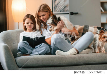 With book in hands, reading. Mother with her daughter and with two cute dogs is in domestic room 127376058