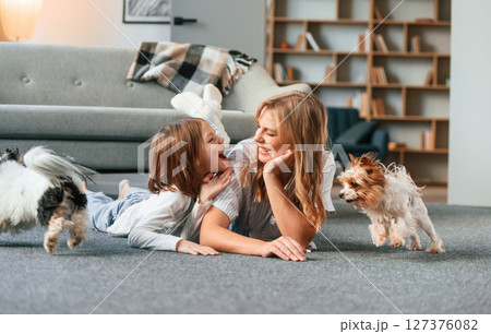 In domestic room. Mother with her daughter and with two cute dogs In domestic room. Mother with her daughter and with two cute dogs 127376082