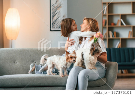 In domestic room. Mother with her daughter and with two cute dogs 127376101