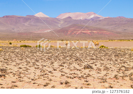 Bolivian mountains landscape,Bolivia 127376182