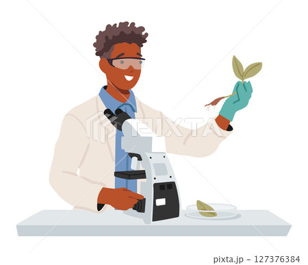 Man scientist examining seedlings of garden plants using microscope working in agricultural lab 127376384