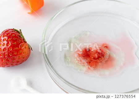 Strawberry in Petri dish with advanced Botrytis cinerea infection, extensive surface mold indicating late-stage food spoilage in scientific food research, experimental photography 127376554