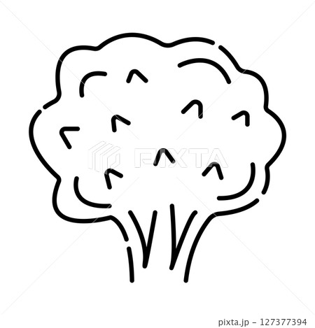 Broccoli black and white vector line illustration 127377394