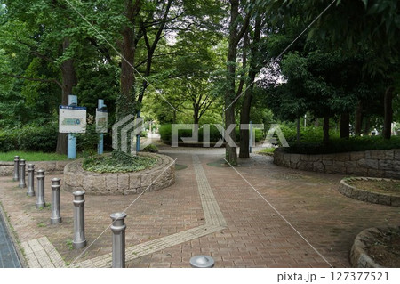 靭公園の風景 靭公園の風景 127377521
