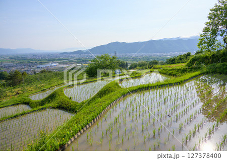善光寺平と姨捨の棚田【千曲市】 善光寺平と姨捨の棚田【千曲市】 127378400
