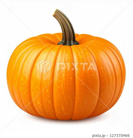 Single Orange Pumpkin on White Background 127378466
