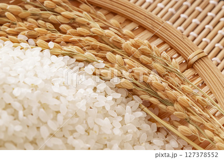 日本の主食、白米と稲穂 日本の主食、白米と稲穂 127378552
