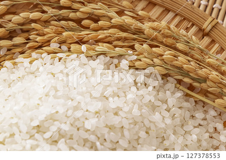 日本の主食、白米と稲穂 日本の主食、白米と稲穂 127378553