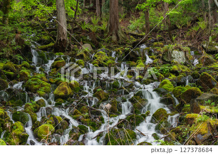 【乗鞍高原】名も無き滝と新緑【松本市】 127378684