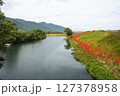 川沿いに咲く彼岸花 127378958