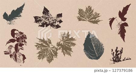 Autumn textured leaves set 127379186