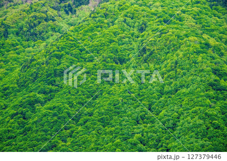 奥飛騨温泉郷の風景【新緑の山肌】 127379446