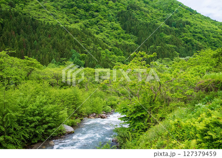 奥飛騨温泉郷の風景『初夏の福地温泉地内』 奥飛騨温泉郷の風景『初夏の福地温泉地内』 127379459