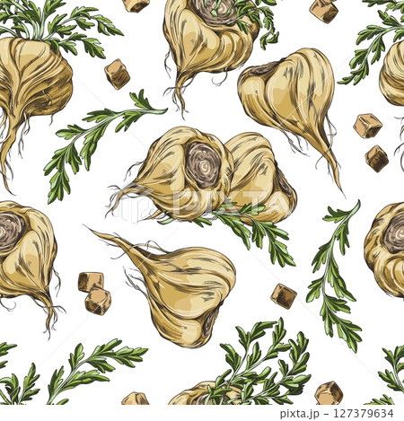 Maca root in brown peel with leaves sketch,...のイラスト素材 [127379634] - PIXTA