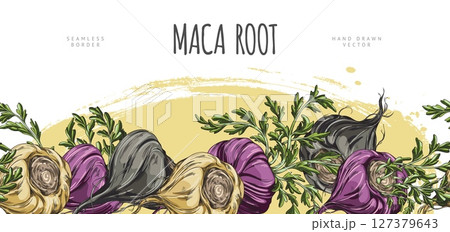 Vector banner with seamless bottom border made of maca roots of different colors with leaves. 127379643