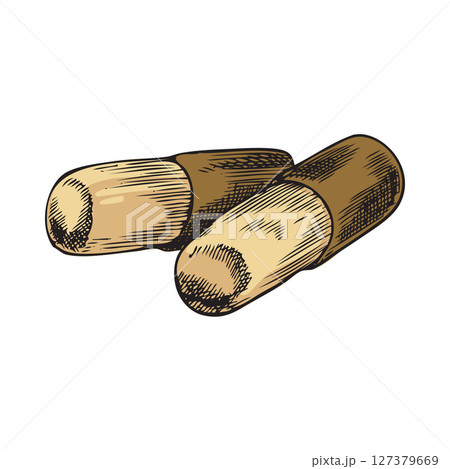 Vector illustration of two capsules with medicine, watercolor hand sketch. Vector illustration of two capsules with medicine, watercolor hand sketch. 127379669