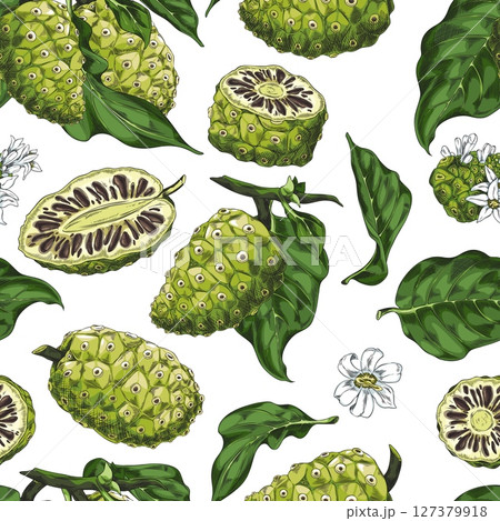 Noni fruit with leaves and flower sketch, vector seamless pattern, hand drawn tropical green medicinal plant, super food Noni fruit with leaves and flower sketch, vector seamless pattern, hand drawn tropical green medicinal plant, super food 127379918