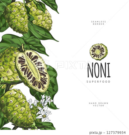Poster with seamless sidebar of noni fruit with leaves and flowers. 127379934