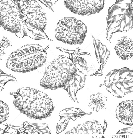 Noni fruit with leaves and flower vector sketch, seamless pattern hand drawn engraved design, morinda medicinal plant 127379936